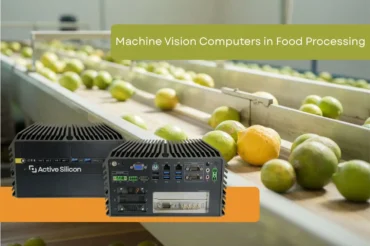 Fruit sorting machinery and a machine vision computer