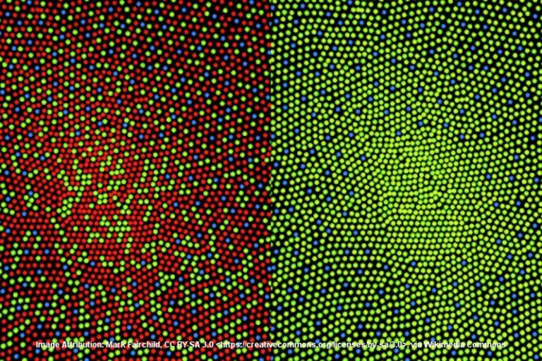 Active Silicon Smart contact lenses shrink wearable computer vision