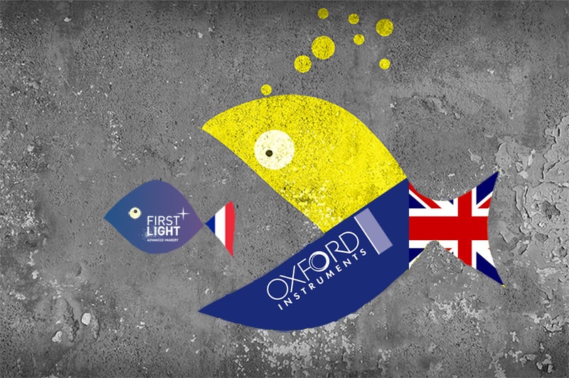 A large fish representing Oxford Instruments swallowing a smaller fish representing First Light Imaging